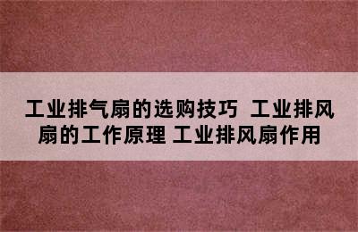 工业排气扇的选购技巧  工业排风扇的工作原理 工业排风扇作用